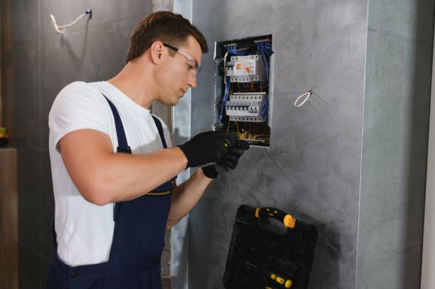 Best Home Electrical Repair  in Atkins, IA